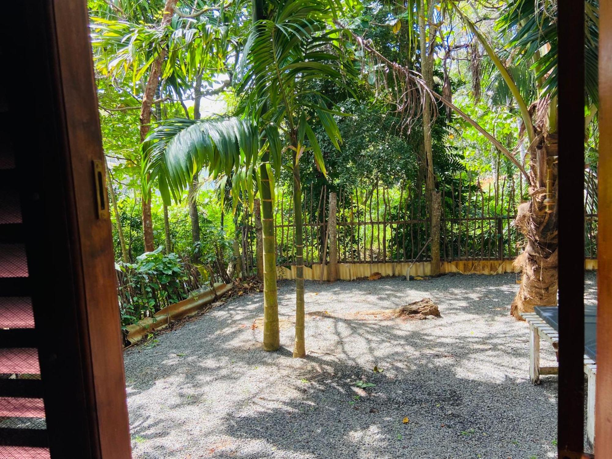Leo Homestay Dikwella Dış mekan fotoğraf