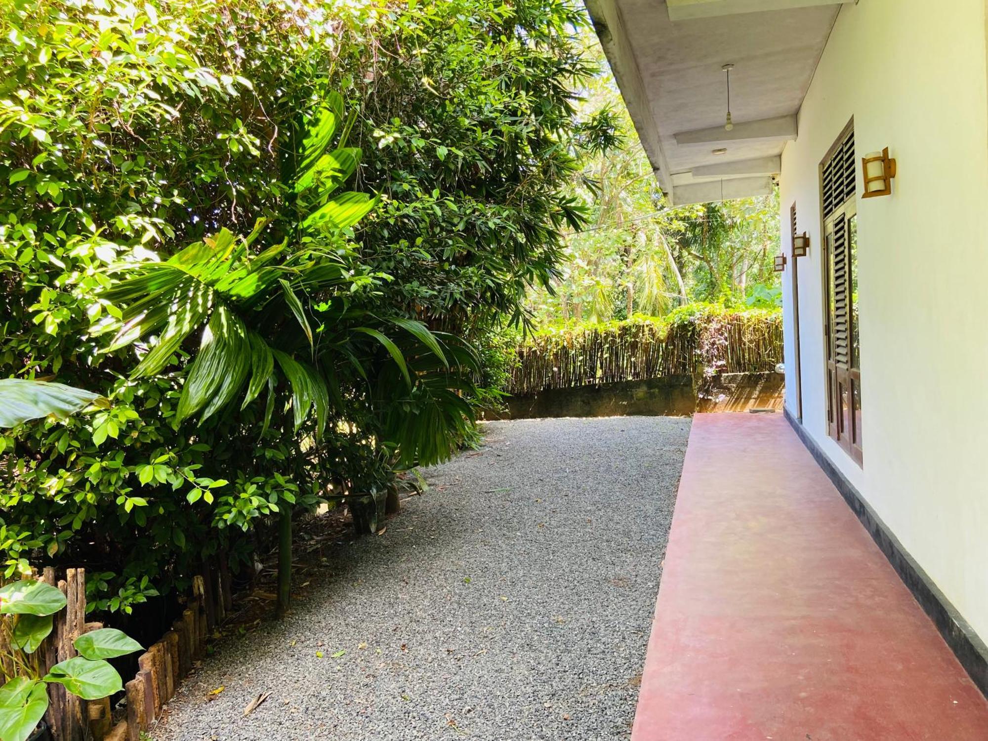 Leo Homestay Dikwella Dış mekan fotoğraf