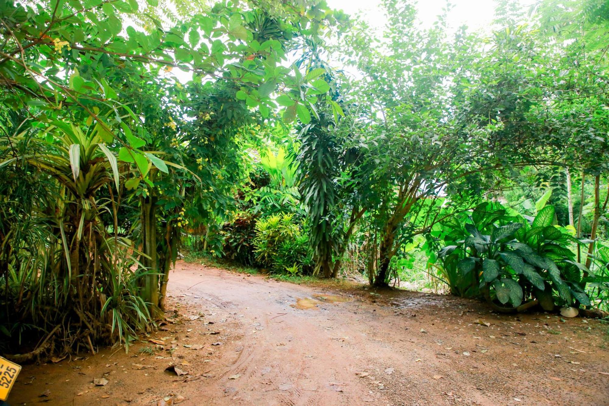 Leo Homestay Dikwella Dış mekan fotoğraf