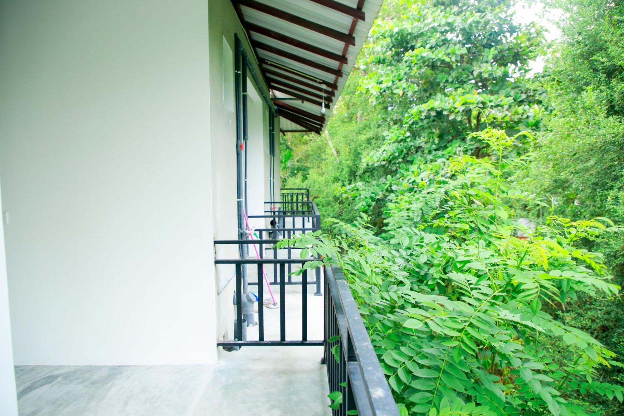 Leo Homestay Dikwella Dış mekan fotoğraf
