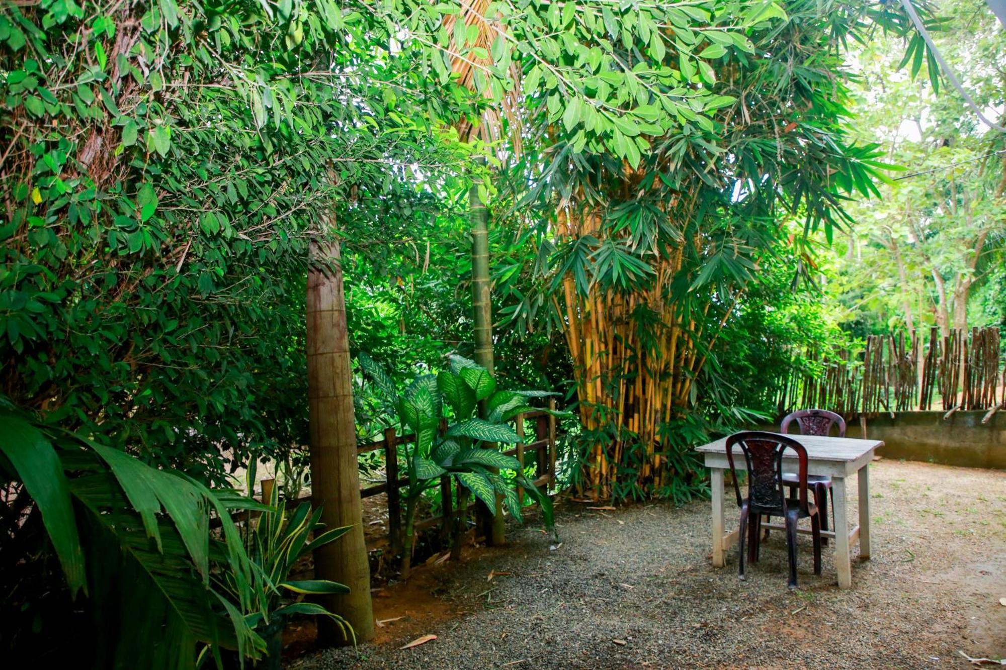 Leo Homestay Dikwella Dış mekan fotoğraf